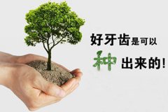 牙齿掉了，多久适合种植牙？