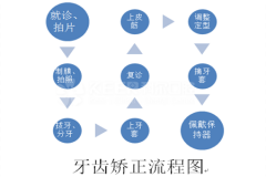 牙齿矫正的流程？