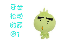 牙齿松动的原因？