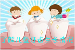 了解儿童牙齿生长情况，一起呵护牙齿健康成长