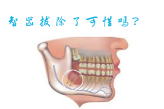智齿拔除了可惜吗？