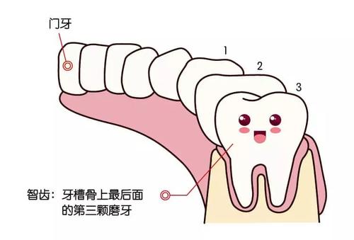 【福州】长了智齿应该去拔掉吗？